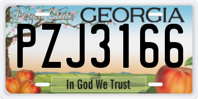 GA license plate PZJ3166
