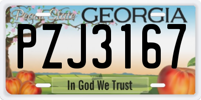 GA license plate PZJ3167