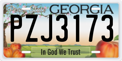 GA license plate PZJ3173