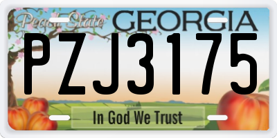 GA license plate PZJ3175