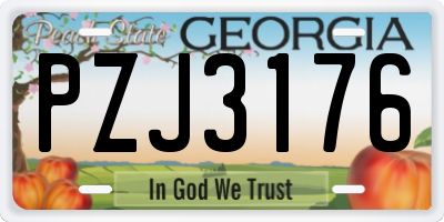 GA license plate PZJ3176