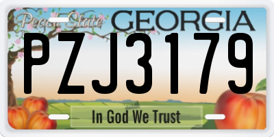 GA license plate PZJ3179