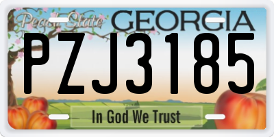 GA license plate PZJ3185
