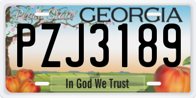 GA license plate PZJ3189
