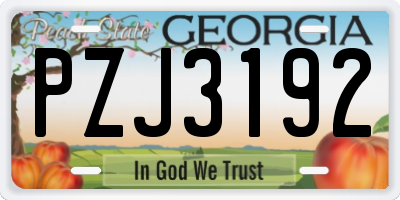 GA license plate PZJ3192
