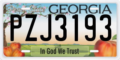 GA license plate PZJ3193