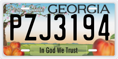 GA license plate PZJ3194