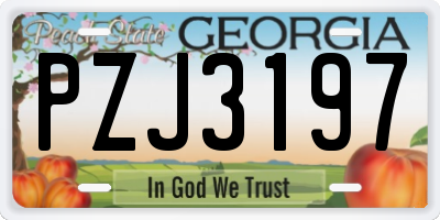 GA license plate PZJ3197
