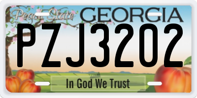 GA license plate PZJ3202