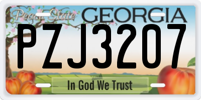 GA license plate PZJ3207