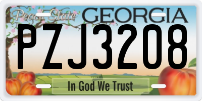 GA license plate PZJ3208