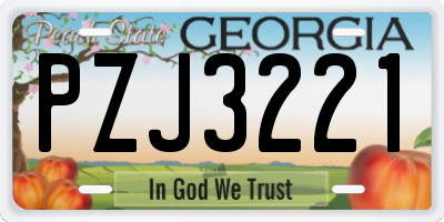 GA license plate PZJ3221