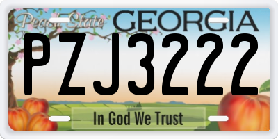 GA license plate PZJ3222