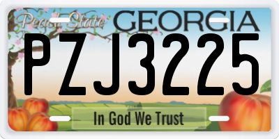 GA license plate PZJ3225