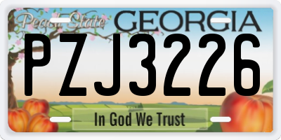 GA license plate PZJ3226