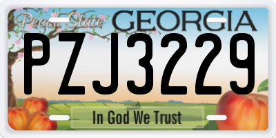 GA license plate PZJ3229