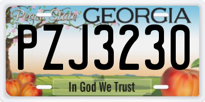 GA license plate PZJ3230
