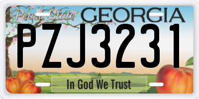 GA license plate PZJ3231