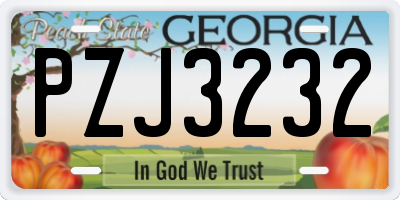 GA license plate PZJ3232