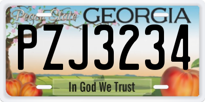GA license plate PZJ3234
