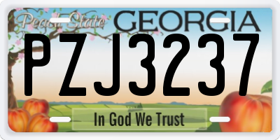 GA license plate PZJ3237