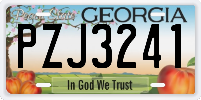 GA license plate PZJ3241