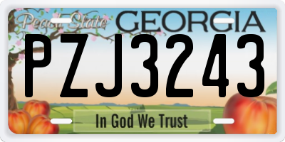 GA license plate PZJ3243