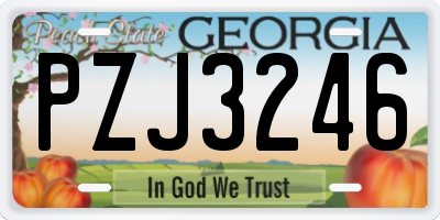 GA license plate PZJ3246