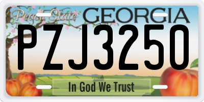 GA license plate PZJ3250