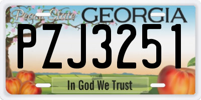 GA license plate PZJ3251