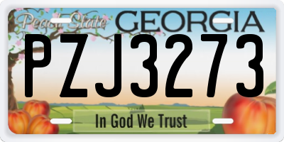 GA license plate PZJ3273
