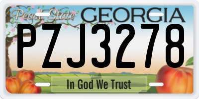 GA license plate PZJ3278