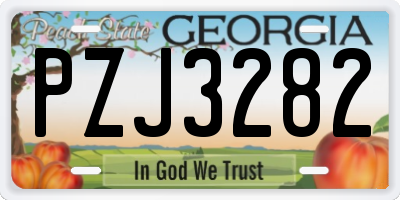 GA license plate PZJ3282