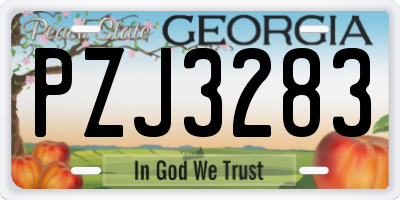 GA license plate PZJ3283