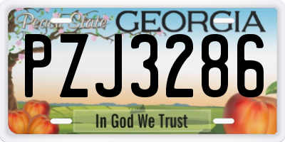 GA license plate PZJ3286