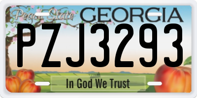 GA license plate PZJ3293