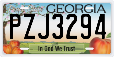 GA license plate PZJ3294