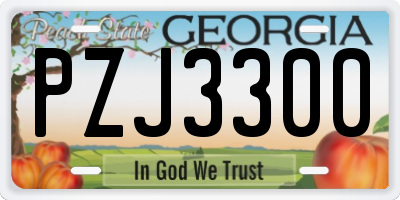 GA license plate PZJ3300