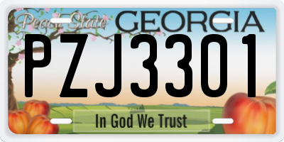 GA license plate PZJ3301