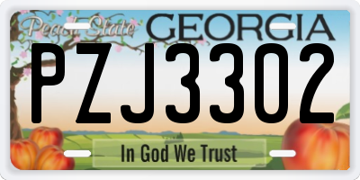 GA license plate PZJ3302