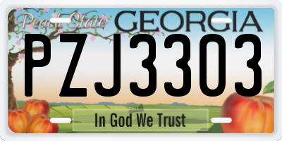 GA license plate PZJ3303