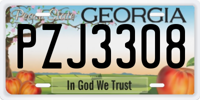 GA license plate PZJ3308