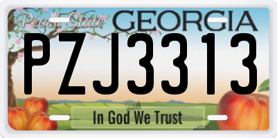 GA license plate PZJ3313