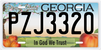 GA license plate PZJ3320