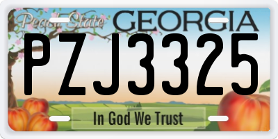GA license plate PZJ3325