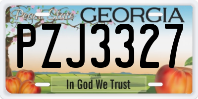 GA license plate PZJ3327