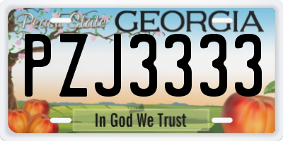 GA license plate PZJ3333