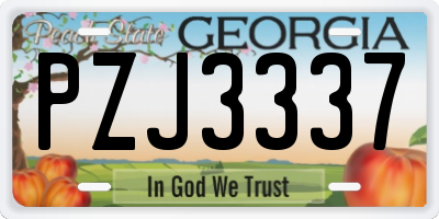 GA license plate PZJ3337