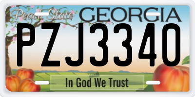 GA license plate PZJ3340