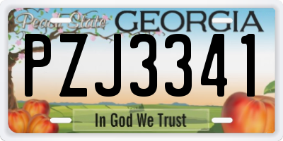 GA license plate PZJ3341